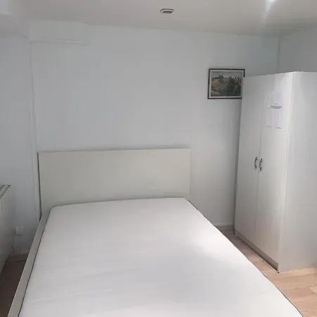 Enjoy Olympic Games In A Big Near Paris