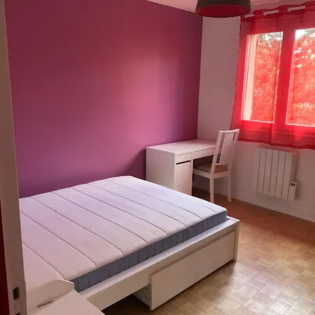 Enjoy Olympic Games In A Big Near Paris